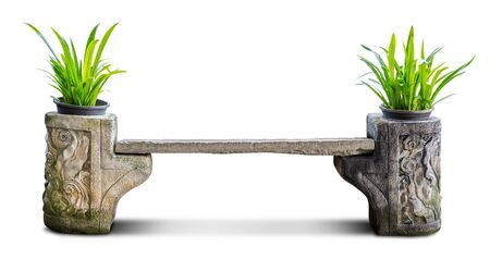 Creative concrete chair transform to pot of houseplant for garden decoration isolated on white background with clipping pathの写真素材