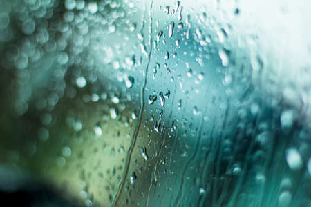 Water drops on the windshield of the car, inside the car in the rain on the background of plants and...