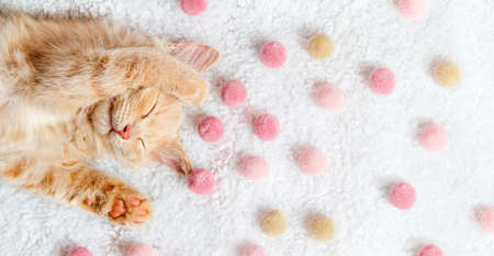 A red kitten sleeps sweetly on a white plush blanket, among pink and beige pompomsの写真素材