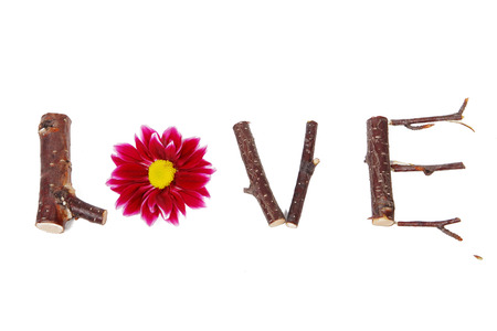 the inscription love of sticks and flowers on a white isolated backgroundの写真素材