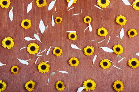 Spring flowers . The pattern of flowers on a dark wooden background top View, the apartment lay out.の写真素材