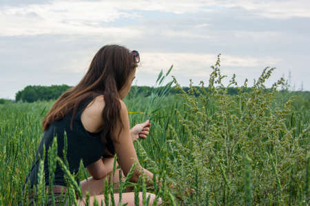 Girl collects wheat spikelets on the field. Live color without processing