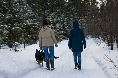 Two girls and a dog are walking in the winter forest. The change of time of year, the arrival of spring adds mood to the walk.の写真素材
