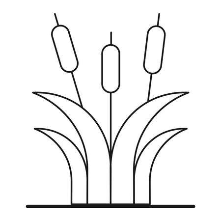 Contour reedmace sprouts. Ecological icons with plants. Isolated on white background. Vector illustration.のイラスト素材