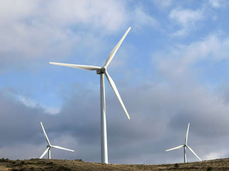 windmill      
