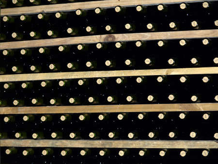 bodega       の写真素材