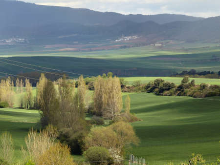 landscape in springの写真素材