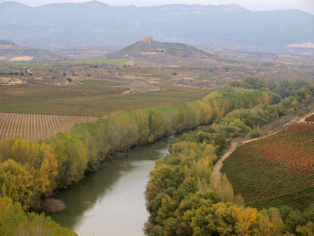 autumn in la rioja and its vineyards
