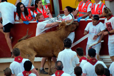 running of the bulls in San Fermin in Pamplona  Navarre のeditorial素材