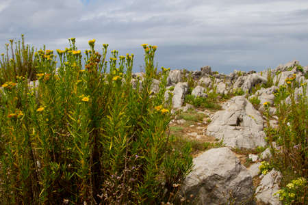 the coast of the cantabric sea in Santanderの写真素材