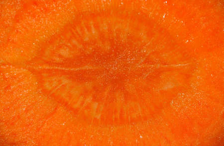 Carrot core cut. Abstract carrot inner background or textureの写真素材