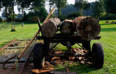 Tree trunks on cartsの写真素材