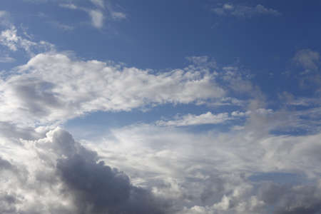 Blue sky with clouds and a gull