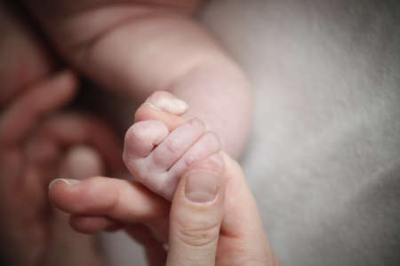 sweet baby holds mothers fingerの写真素材