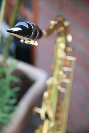 close-up of a saxophone playerの写真素材