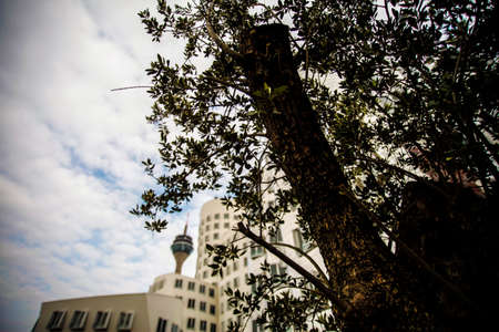 duesseldorf city skyline with harbour, ghery buildings and bridgesの写真素材
