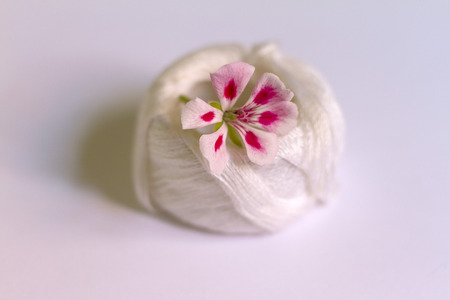 A two-tone geranium flower of pink on embroidery threads