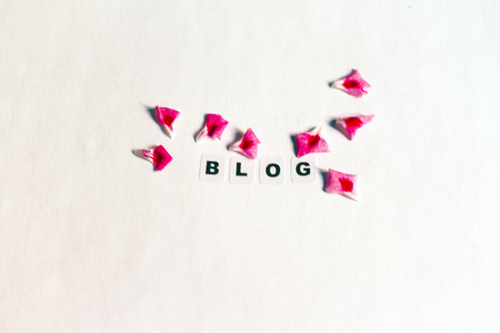Word blog written in black letters on neutral backgroundの写真素材