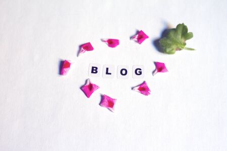 Word blog written in black letters on neutral backgroundの写真素材