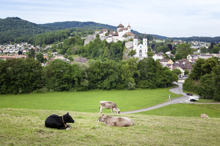 View over the city of Aarburg, Switzerlandのeditorial素材