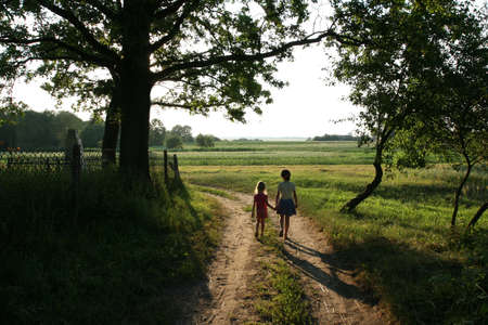 Children go on a path in the fieldの写真素材