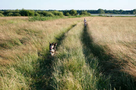 Rural landscape of flat east Europeの写真素材