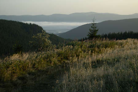 Beautiful nature of the Carpathian Mountains