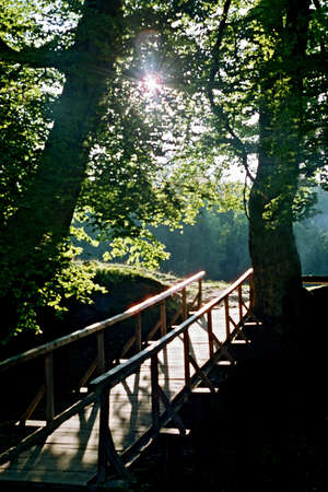 Beautiful natureの写真素材