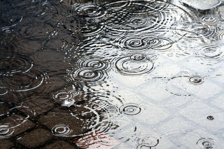 Rain in the city