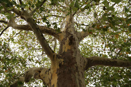 autumnの写真素材