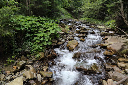 Beautiful nature of the Carpathian Mountainsの写真素材