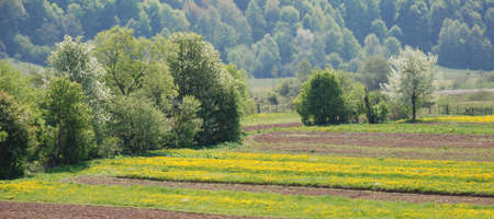 Beautiful natureの写真素材