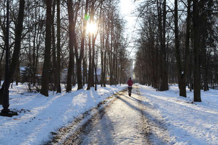 Winterの写真素材