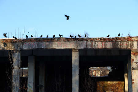 Texture City Urbanの写真素材