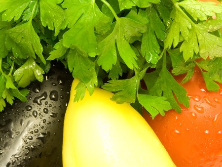green juicy vegetables and greenery of parsley only from a garden bedの写真素材