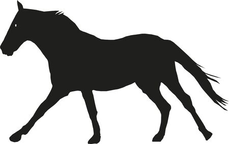 The horse in motion, the silhouette in blackのイラスト素材