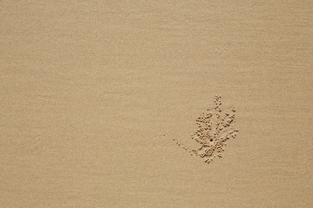 Details of sand textureの写真素材