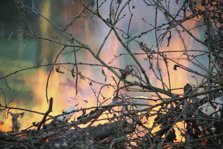 Bright colorful background is lit by the light of the bonfireの写真素材