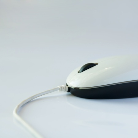 mouse