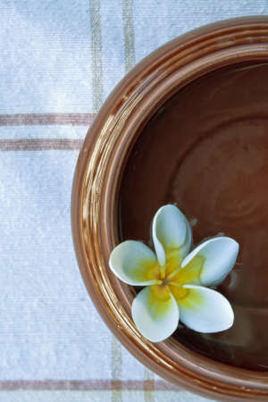 plumeria の写真素材