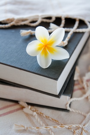 plumeriaの写真素材