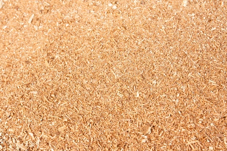 Sawdust woodの写真素材