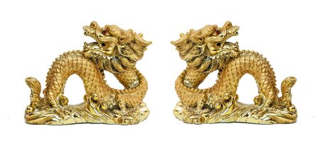 Dragon isotated.の写真素材