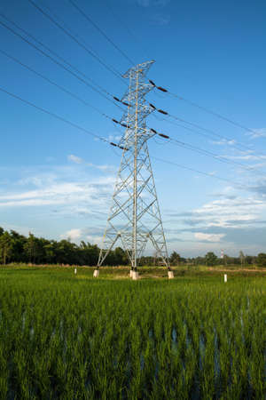 High voltage pylon in paddy with blue sky and cloudsの写真素材