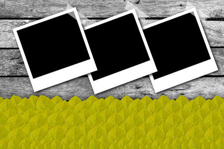 Blank photo frame on wood background