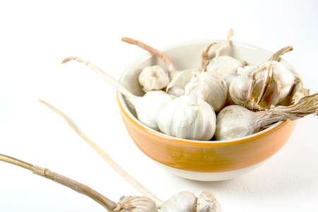 galic isolated on white backgroundの写真素材