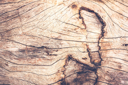 Old wood texture vintage toneの写真素材