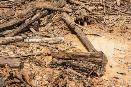 old log on cultivated landの写真素材