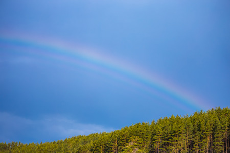 Very bright rainbow with flashy colors and a dark blue sky. Blue sky with rainbow over the trees.の写真素材