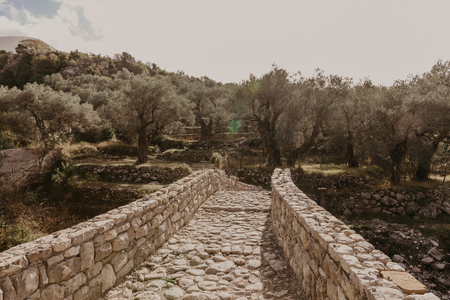 old stone bridge leading to the olive groveの写真素材